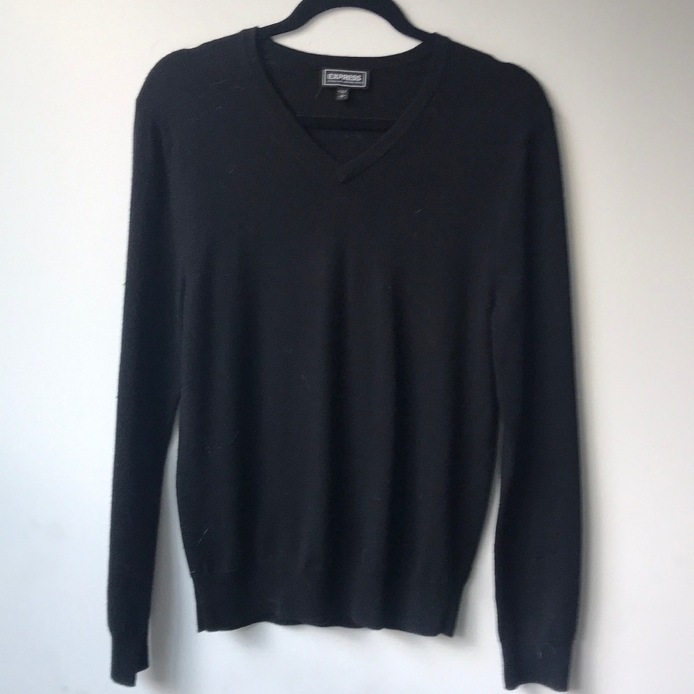 Express Dress Sweater